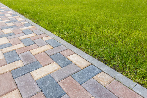 Best Driveway Paving Contractor  in Williamsburg, VA